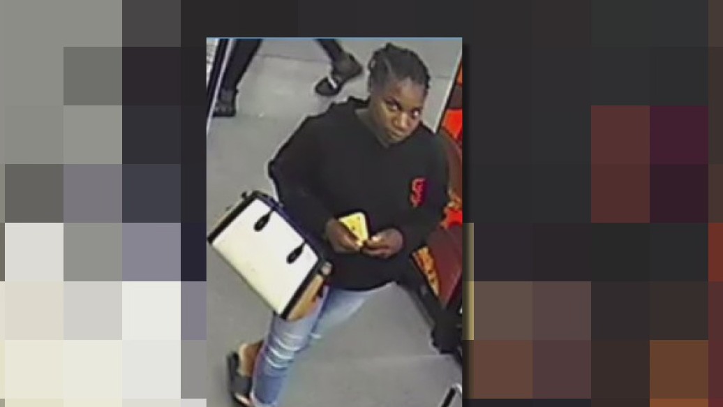 Investigators: Woman breaking into cars in Polk County
